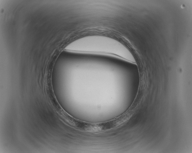 X0000085790217200703160942
