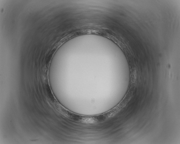X0000085790218200703160942