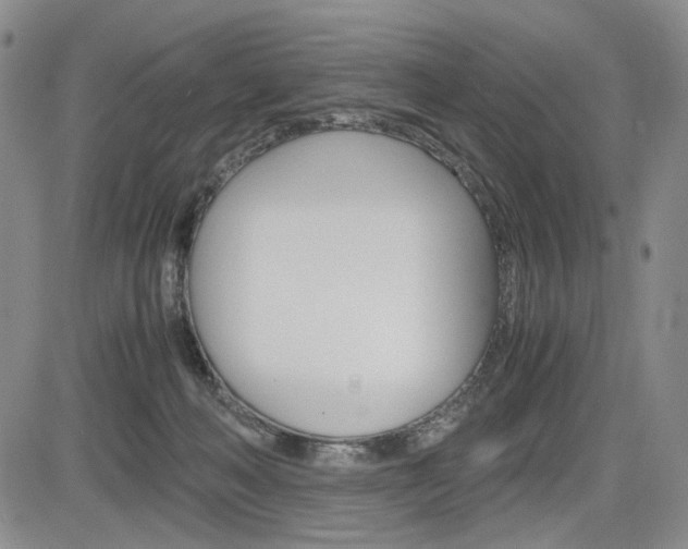 X0000085790222200703160942