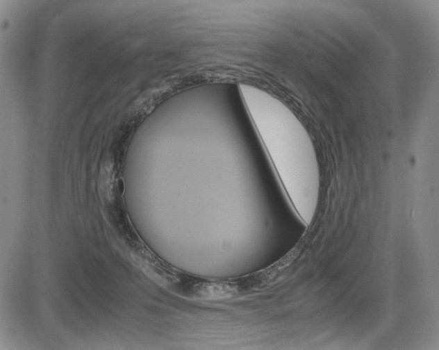 X0000085790223200703160942