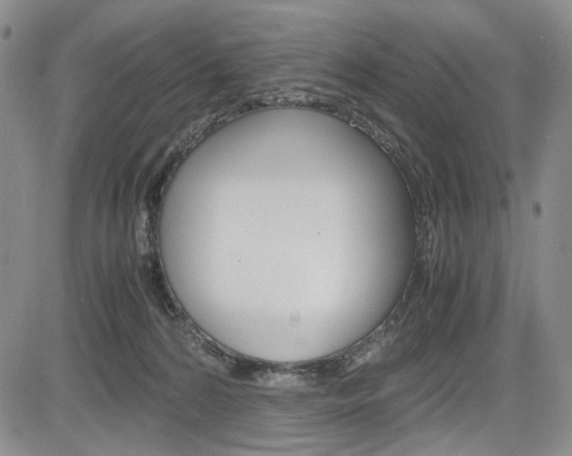 X0000085790224200703160942