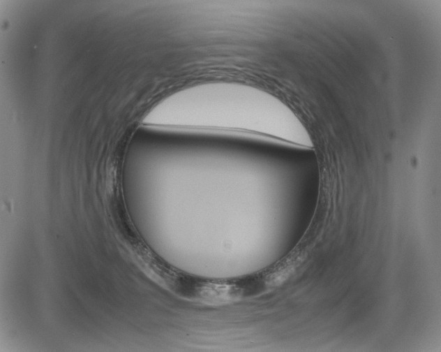 X0000085790227200703160942
