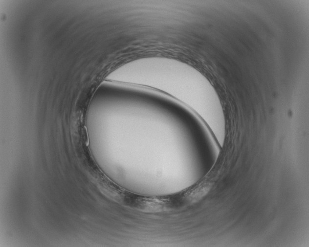 X0000085790229200703160942