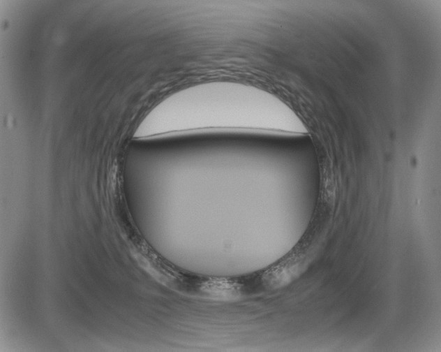 X0000085790231200703160942