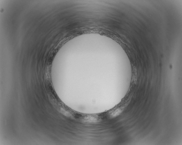 X0000085790236200703160942