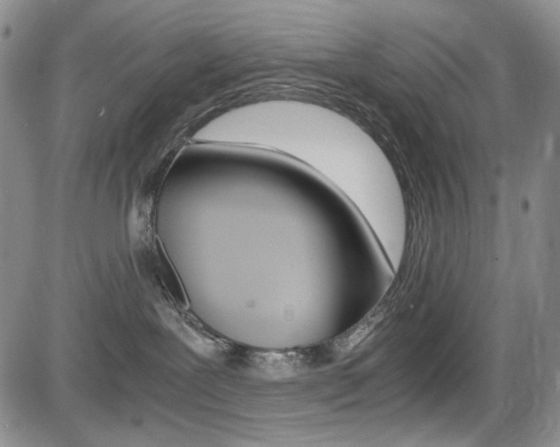 X0000085790239200703160942