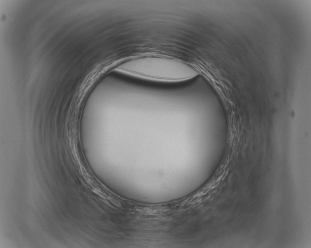 X0000085790241200703160941