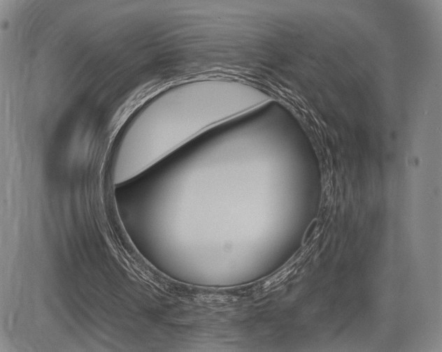 X0000085790242200703160941
