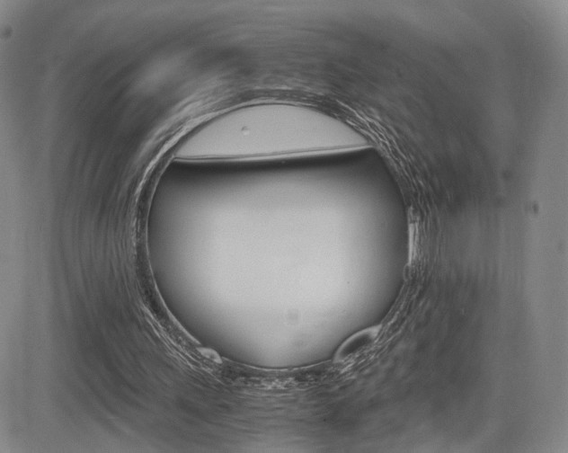 X0000085790243200703160941