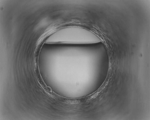 X0000085790245200703160941