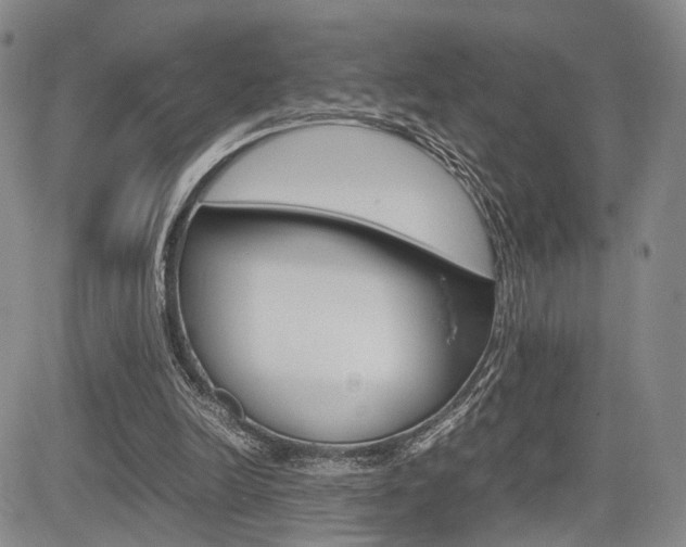 X0000085790246200703160941