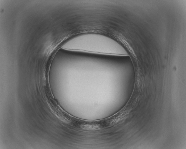 X0000085790251200703160941