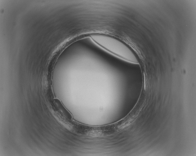 X0000085790252200703160941