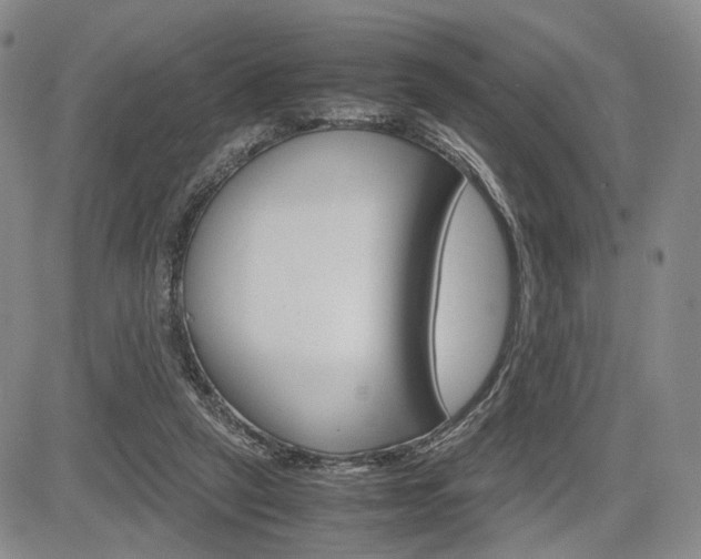 X0000085790257200703160941