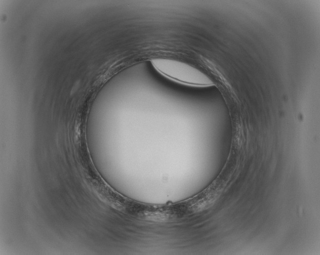 X0000085790259200703160941