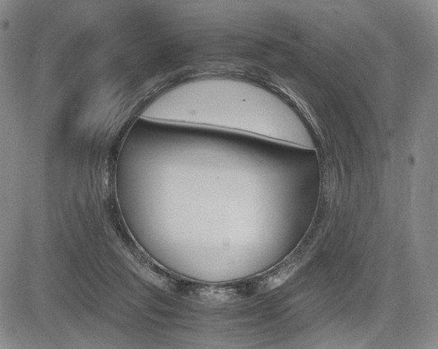 X0000085790261200703160941