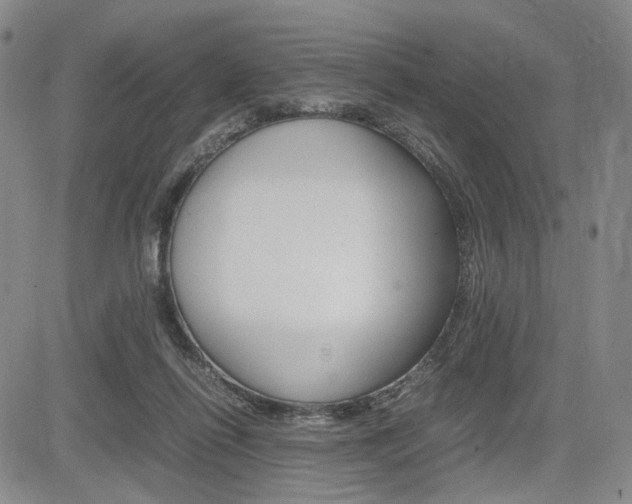 X0000085790262200703160941