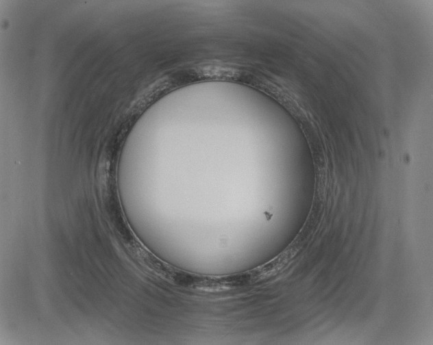 X0000085790263200703160941