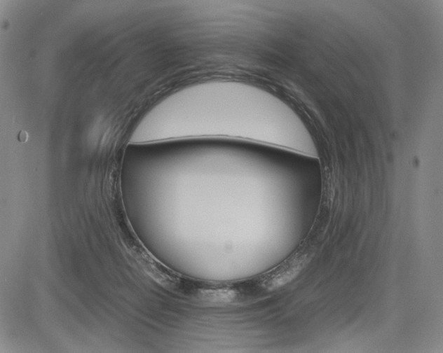 X0000085790266200703160941