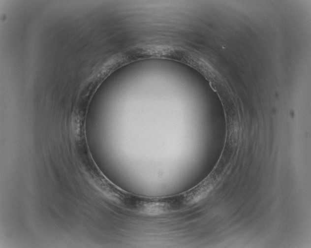 X0000085790268200703160941