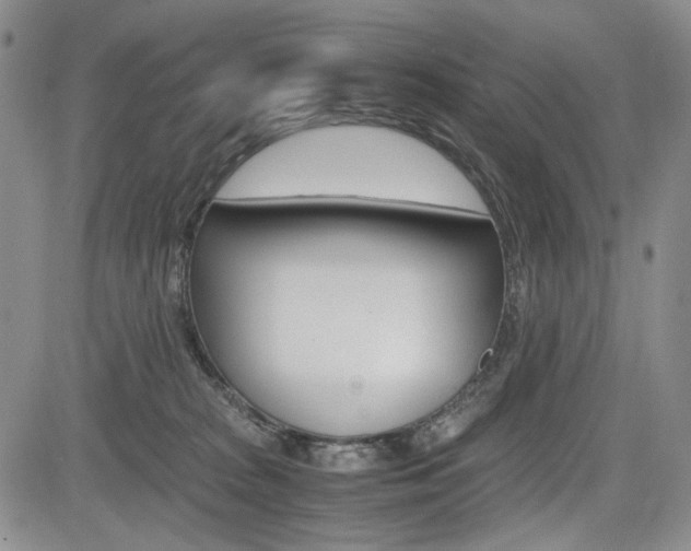 X0000085790277200703160941