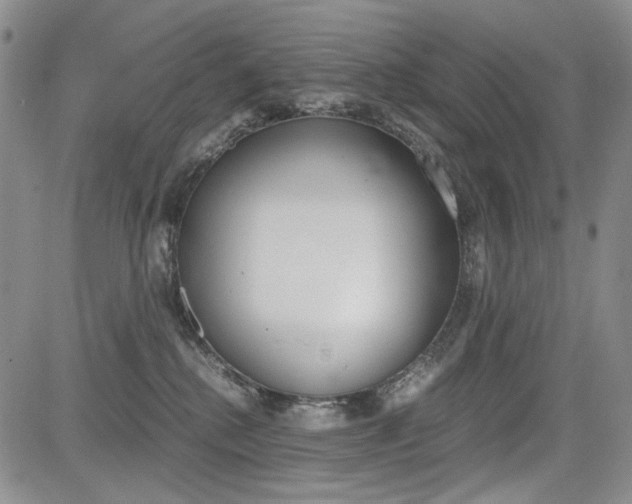 X0000085790280200703160941