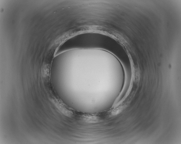 X0000085790284200703160941