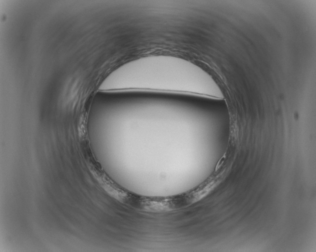 X0000085790285200703160941