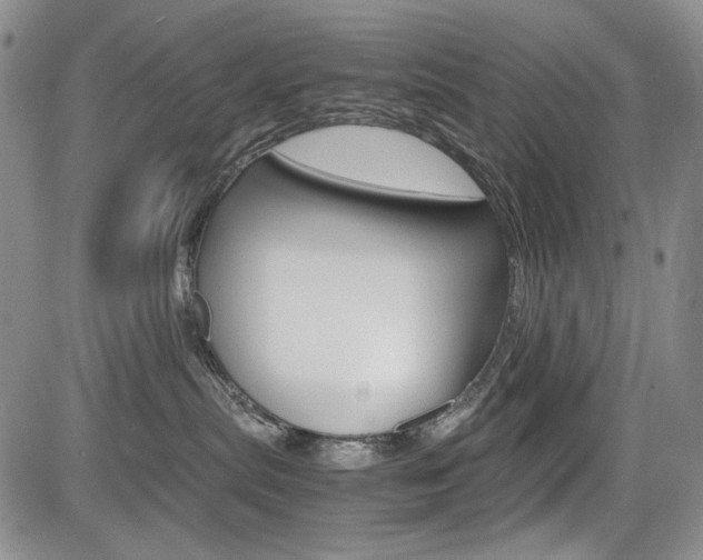X0000085790287200703160942
