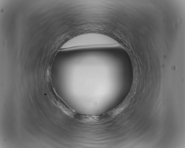 X0000085790288200703160942