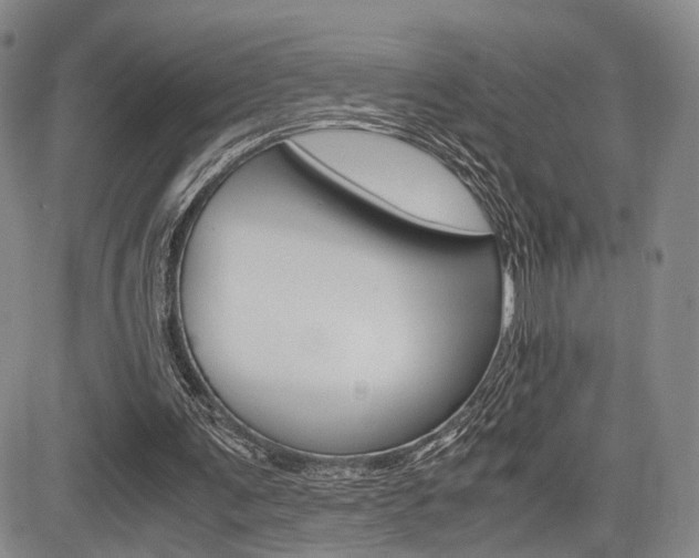 X0000085790291200703160941