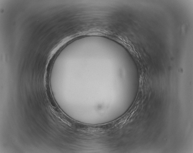 X0000085790292200703160941