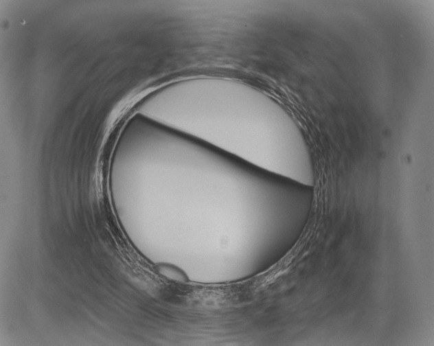 X0000085790294200703160941