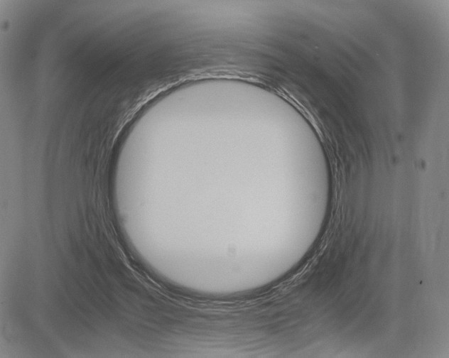 X0000085790301200703160941