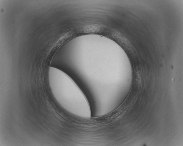 X0000085790308200703160940