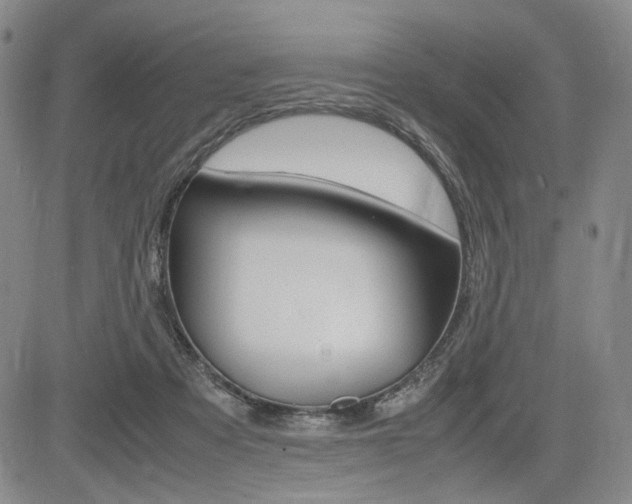 X0000085790313200703160940