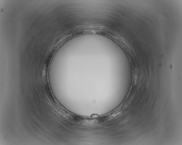 X0000085790314200703160940