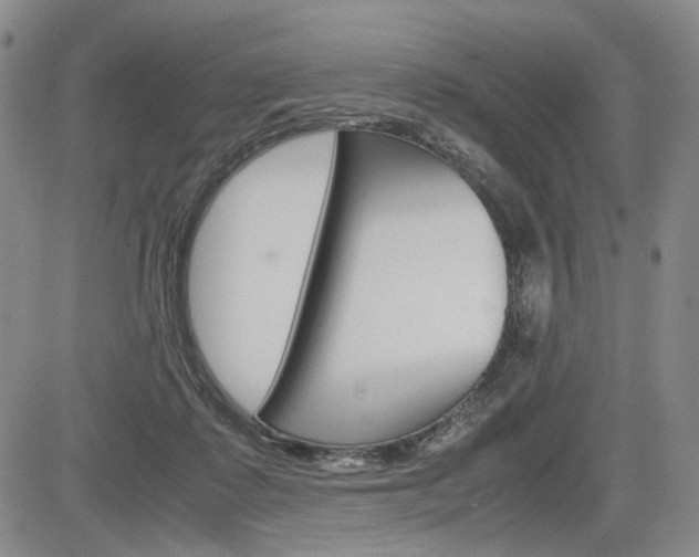 X0000085790315200703160940