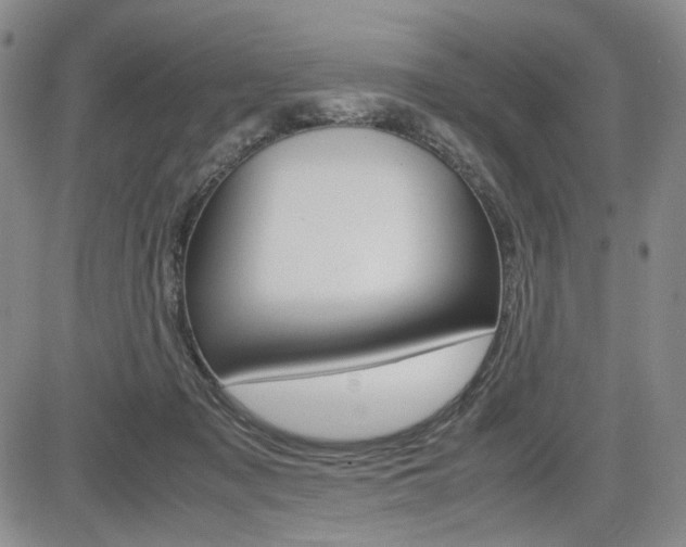 X0000085790317200703160940
