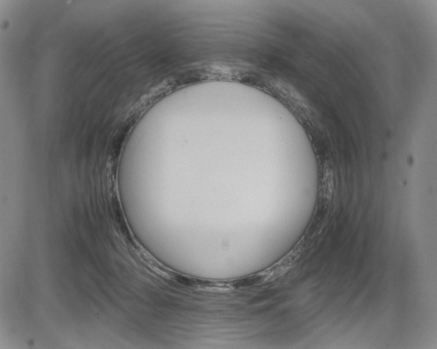 X0000085790318200703160940