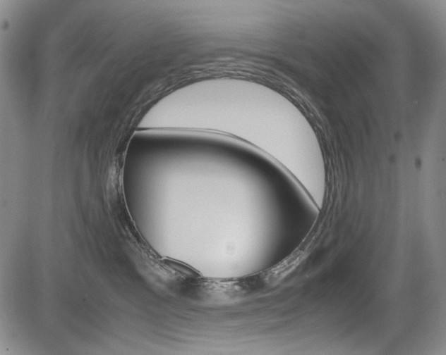 X0000085790333200703160940