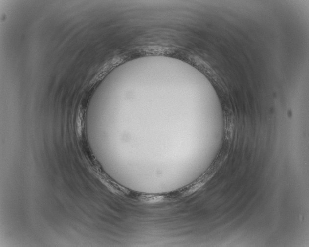 X0000085790334200703160940