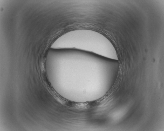 X0000085790335200703160940