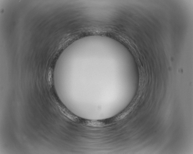 X0000085790336200703160940