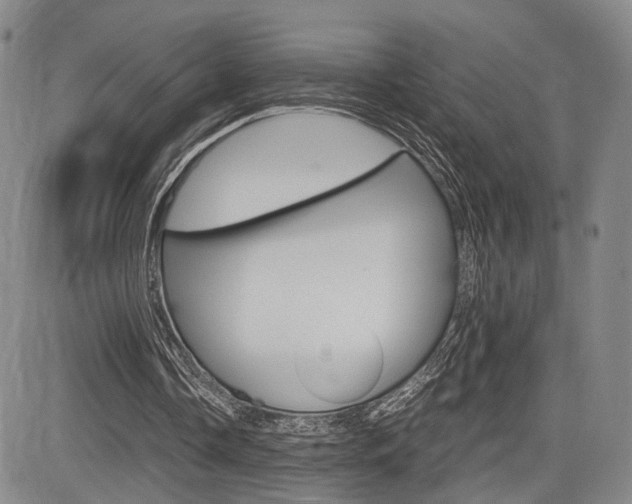 X0000085790338200703160939