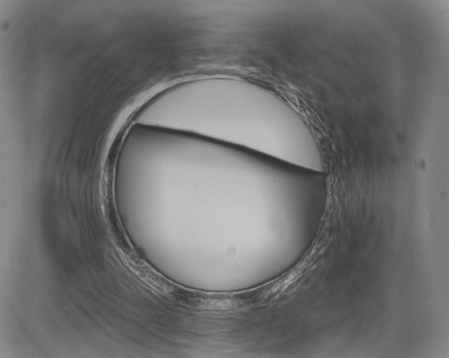 X0000085790342200703160939