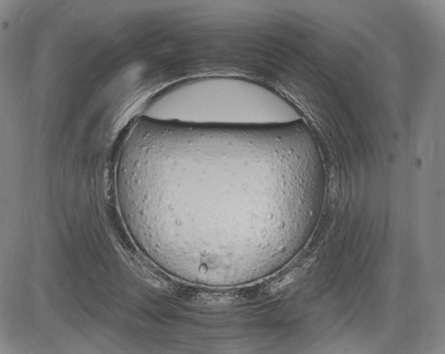 X0000085790351200703160939