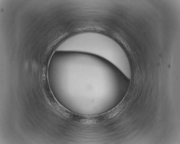 X0000085790356200703160939