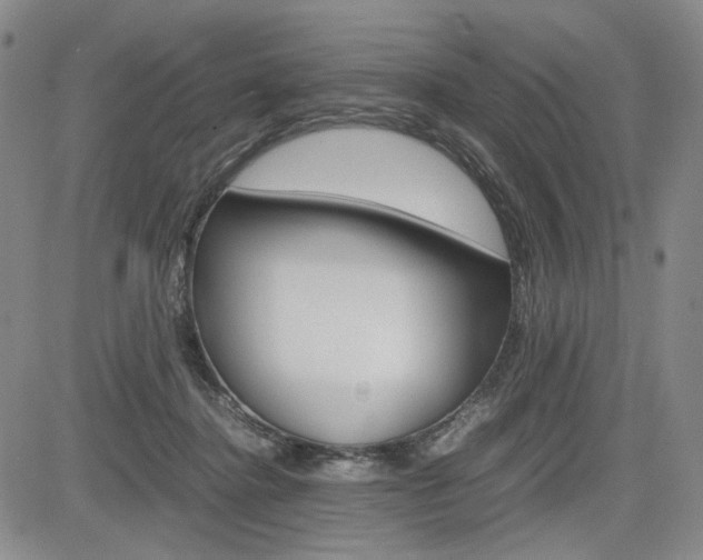 X0000085790364200703160940