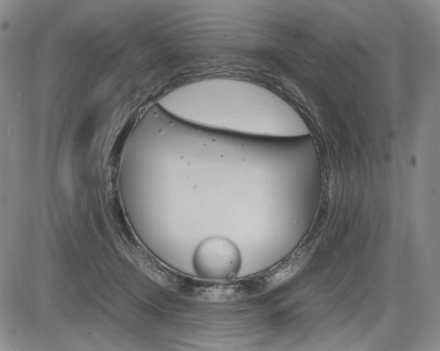 X0000085790366200703160940